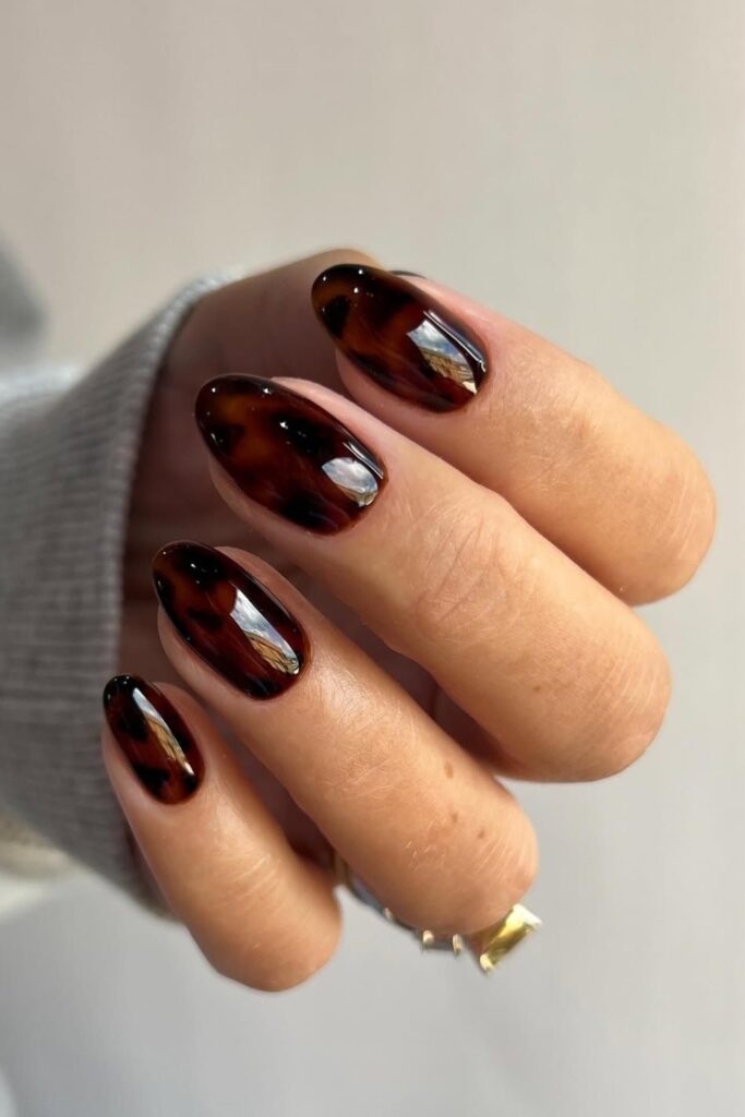 Rich Tortoiseshell on Rounded Tips