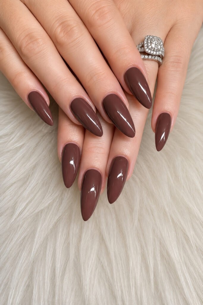 Caramel Glossy Neutral Stiletto Nails
