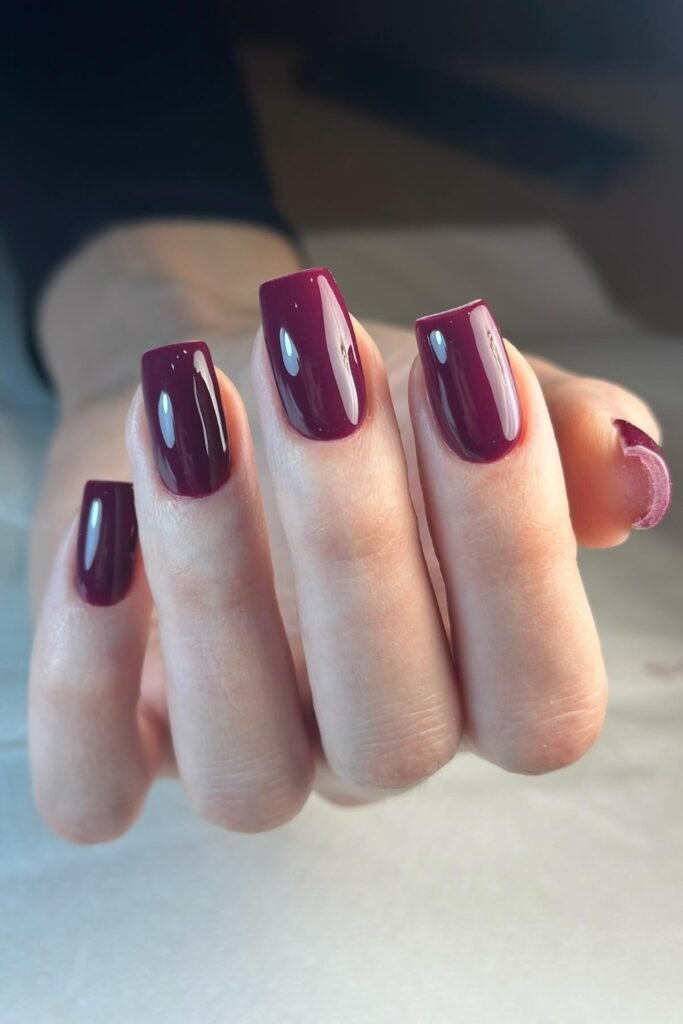 Deep Plum Gloss Nails