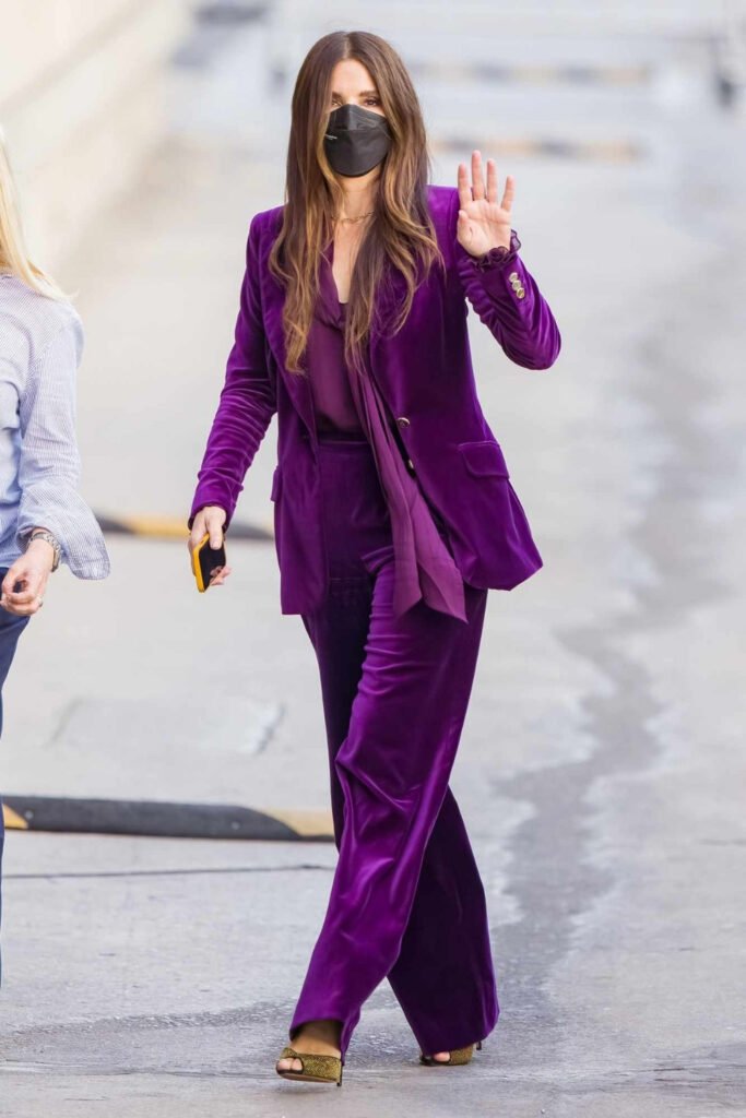 Purple Velvet Blazer Dress