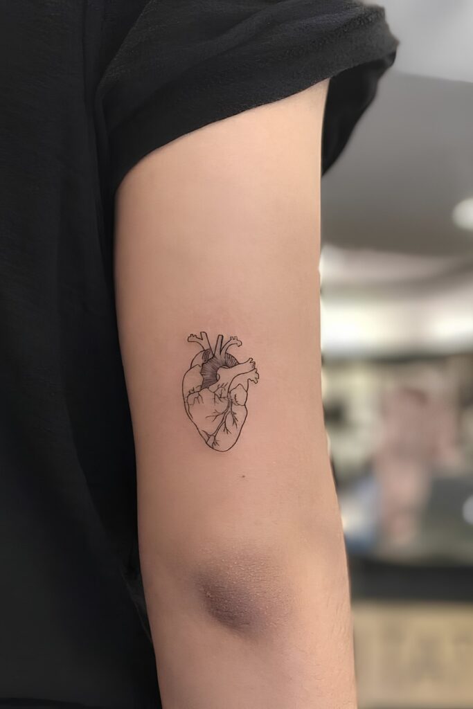 Anatomical heart tattoo on a man