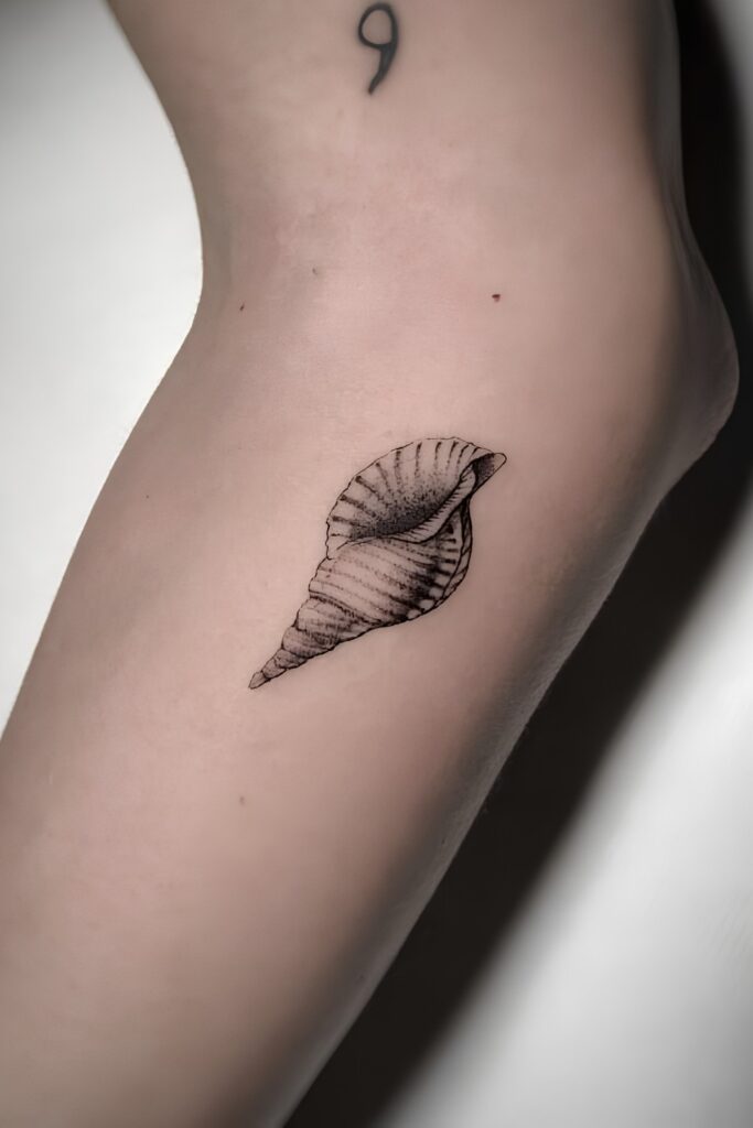 Small shell tattoo on a man
