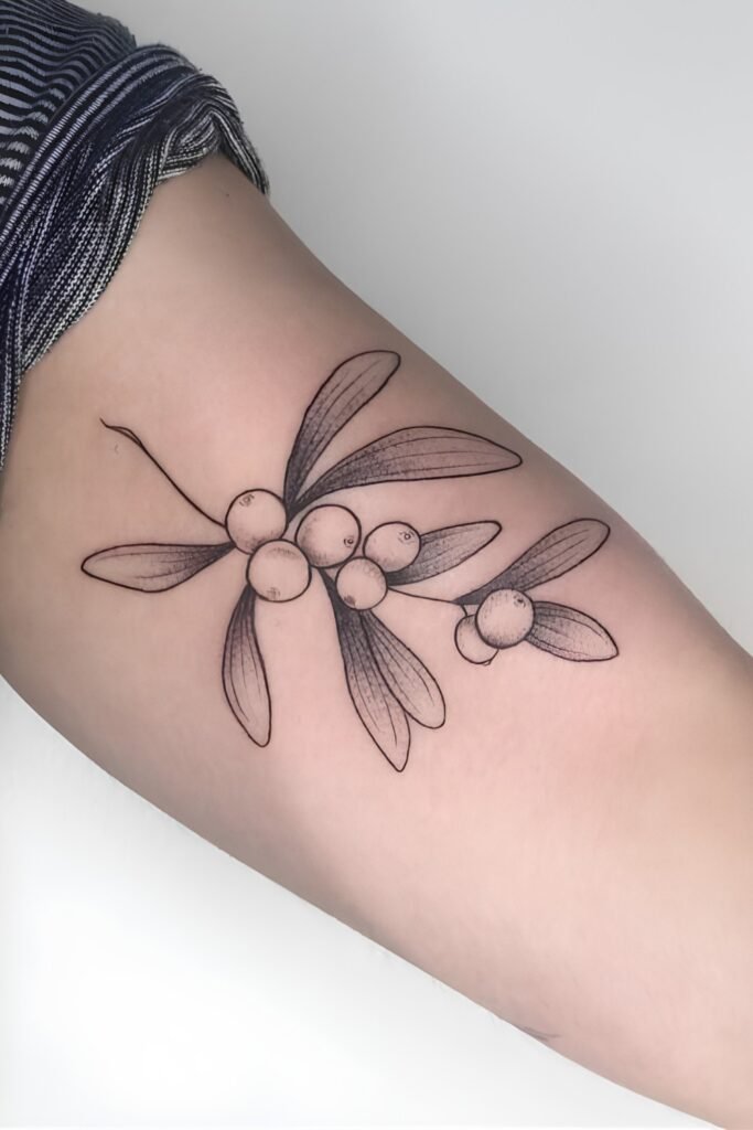 Fine-Line Mistletoe Sprig