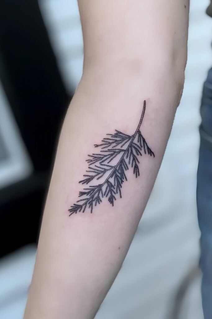 Pine Branch or Sprig