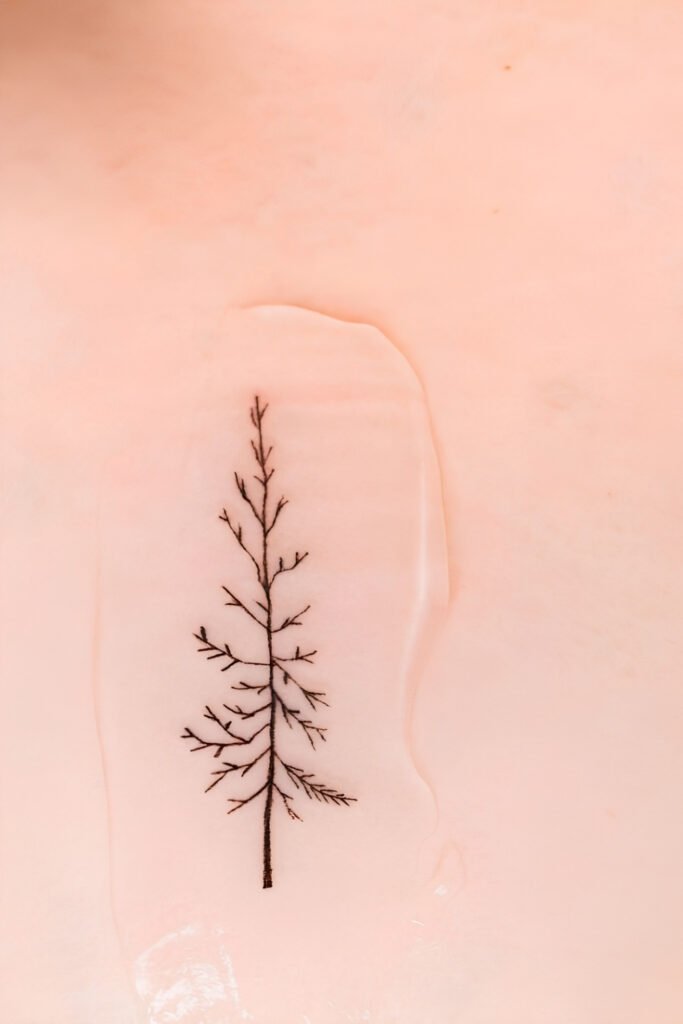 The Bare Tree